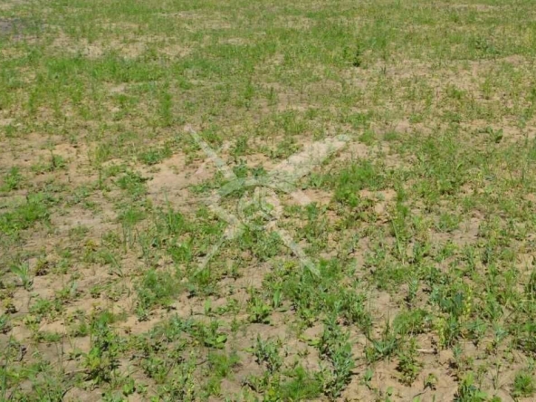 Парцел в с. Стряма, Област Пловдив - 3013 кв.м за 50 €/кв.м - Снимка #1