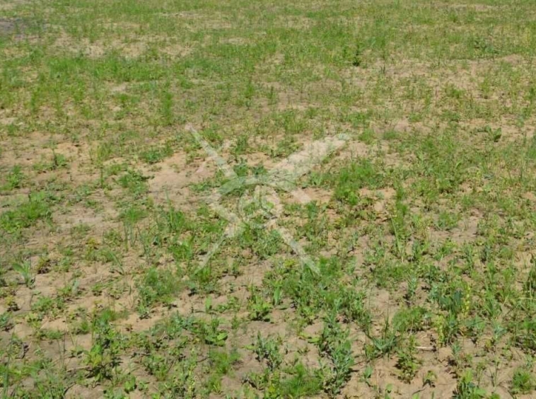 Парцел в с. Стряма, Област Пловдив - 3013 кв.м за 50 €/кв.м - Снимка #1