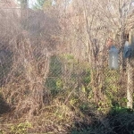 Парцел в с. Голямо Буково, Област Бургас - 500 кв.м за 14 €/кв.м - Снимка #1