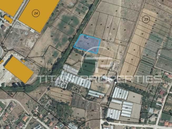 Парцел в с. Куртово Конаре, Област Пловдив - 3186 кв.м за 11 €/кв.м - Снимка #1