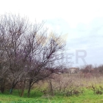 Парцел в с. Хаджи Димитър, Област Добрич - 4928 кв.м за 7 €/кв.м - Снимка #1