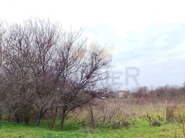 Парцел в с. Хаджи Димитър, Област Добрич - 4928 кв.м за 7 €/кв.м - Снимка #1