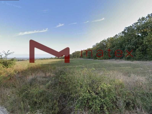 Парцел в с. Бенковски, Област Варна - 900 кв.м за 24 €/кв.м - Снимка #1