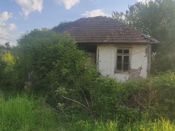 Парцел в с. Синаговци, Област Видин - 595 кв.м за 8 €/кв.м - Снимка #1