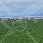 Парцел в Поморие - 5600 кв.м за 21 €/кв.м - Снимка #1