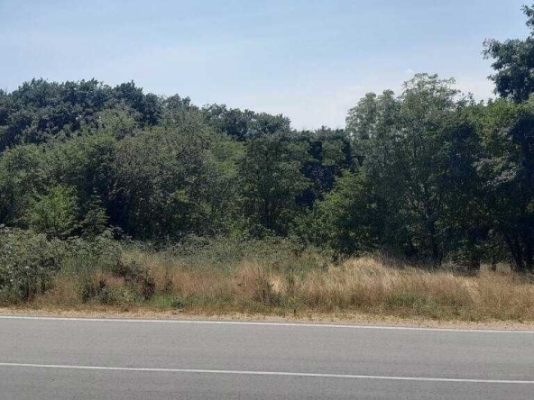 Парцел в с. Здравец, Област Варна - 450 кв.м за 27 €/кв.м - Снимка #1