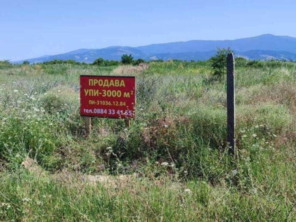 Парцел в с. Златитрап, Област Пловдив - 3000 кв.м за 21 €/кв.м - Снимка #1
