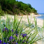 Къща в с. Приселци, Област Варна - 330 кв.м за 1455 €/кв.м - Снимка #1