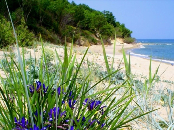 Къща в с. Приселци, Област Варна - 330 кв.м за 1455 €/кв.м - Снимка #1