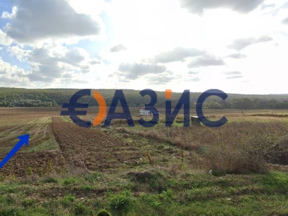 Парцел в с. Попович, Област Варна - 4490 кв.м за 8 €/кв.м - Снимка #1