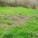 Парцел в с. Войнежа, Област Велико Търново - 2167 кв.м за 7 €/кв.м - Снимка #1