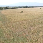 Парцел в София, Ботунец - 17288 кв.м за 73 €/кв.м - Снимка #1