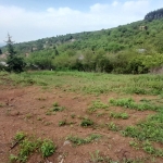 Парцел в Стара Загора, Никола Петков - 500 кв.м за 50 €/кв.м - Снимка #1