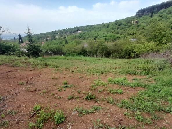 Парцел в Стара Загора, Никола Петков - 500 кв.м за 50 €/кв.м - Снимка #1