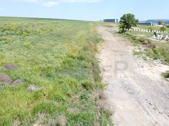 Парцел в с. Езерово, Област Варна - 9999 кв.м за 65 €/кв.м - Снимка #1