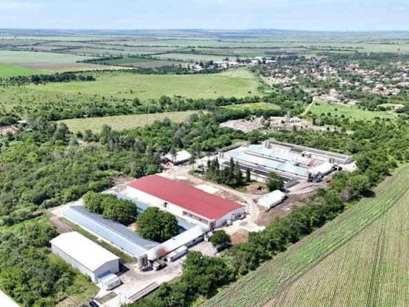 Промишлена сграда в с. Борисово, Област Русе - 108000 кв.м за 18 €/кв.м - Снимка #1