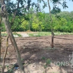 Парцел в с. Аврен, Област Варна - 1000 кв.м за 11 €/кв.м - Снимка #1