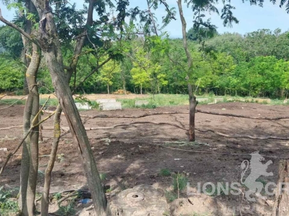 Парцел в с. Аврен, Област Варна - 1000 кв.м за 11 €/кв.м - Снимка #1