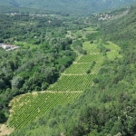 Парцел в с. Храбрино, Област Пловдив - 68188 кв.м за 10 €/кв.м - Снимка #1