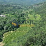 Парцел в с. Храбрино, Област Пловдив - 68188 кв.м за 6 €/кв.м - Снимка #1