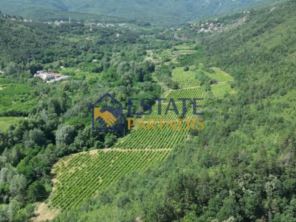 Парцел в с. Храбрино, Област Пловдив - 68188 кв.м за 6 €/кв.м - Снимка #1