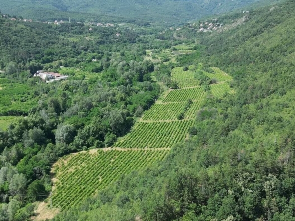 Парцел в с. Храбрино, Област Пловдив - 68188 кв.м за 10 €/кв.м - Снимка #1