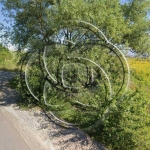 Парцел в Божурище - 618 кв.м за 73 €/кв.м - Снимка #1