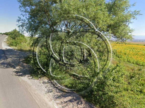 Парцел в Божурище - 618 кв.м за 73 €/кв.м - Снимка #1