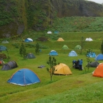 Парцел в Павел баня - 17000 кв.м за 18 €/кв.м - Снимка #1