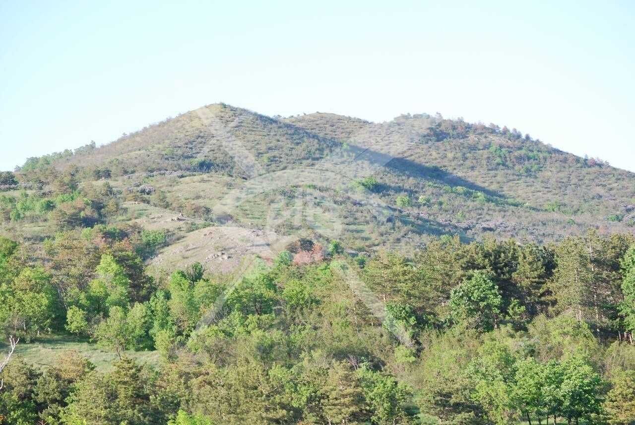 Парцел в с. Соколово, Област Бургас - 5500 кв.м за 4 €/кв.м - Снимка #1