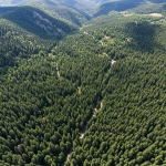 Парцел в с. Стойките, Област Смолян - 21715 кв.м за 0 €/кв.м - Снимка #1