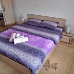 Дава се под наем Двустаен апартамент в Пловдив, Кършияка - 59 кв.м за 234.6 € - Снимка #1