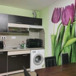 Дава се под наем Едностаен апартамент в Пловдив, Младежки Хълм - 38 кв.м за 185 € - Снимка #1