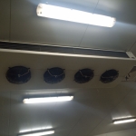 Дава се под наем Склад в Дунавци - 250 кв.м за 637.5 € - Снимка #1