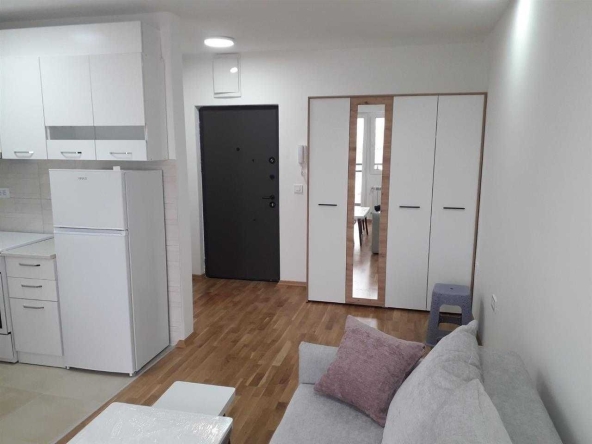 Дава се под наем Едностаен апартамент в Пловдив, Каменица 1 - 45 кв.м за 173.4 € - Снимка #1