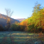 Парцел в с. Лява река, Област Стара Загора - 6000 кв.м за 9 €/кв.м - Снимка #1