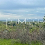 Парцел в с. Изворище, Област Бургас - 500 кв.м за 20 €/кв.м - Снимка #1