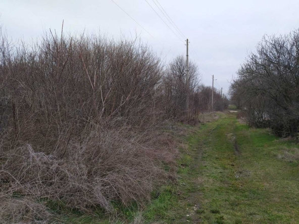 Парцел в Вълчи дол - 1500 кв.м за 40 €/кв.м - Снимка #1