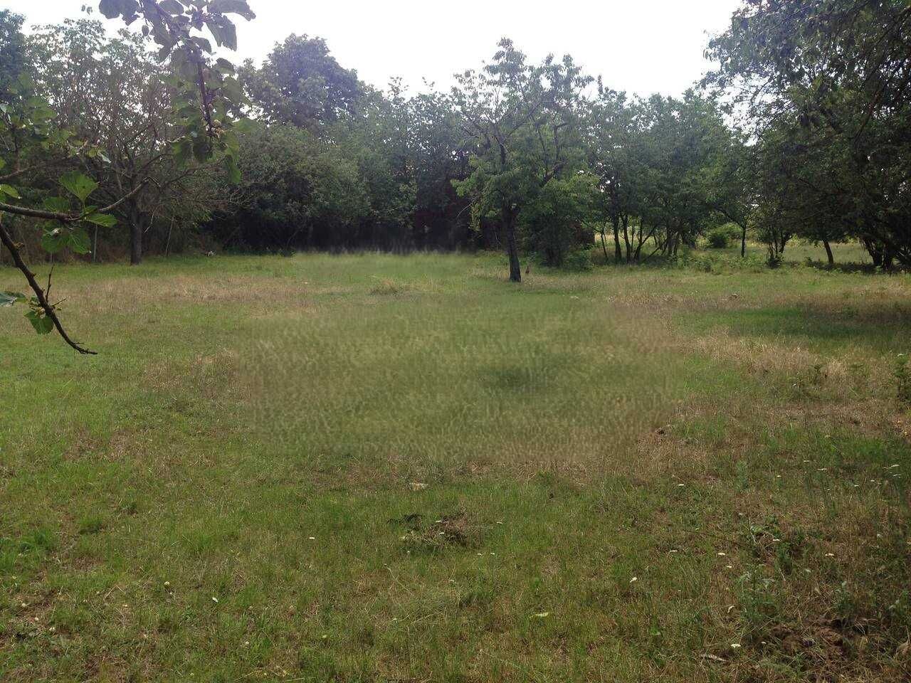 Парцел в с. Червенци, Област Варна - 859 кв.м за 7 €/кв.м - Снимка #1