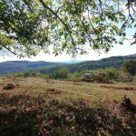 Къща в с. Чеканци, Област Търговище - 100 кв.м за 255 €/кв.м - Снимка #1