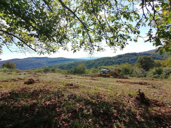 Къща в с. Чеканци, Област Търговище - 100 кв.м за 255 €/кв.м - Снимка #1