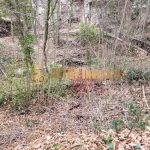 Парцел в к.к. Златни пясъци - 1199 кв.м за 276 €/кв.м - Снимка #1