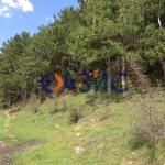 Парцел в с. Горица, Област Бургас - 1000 кв.м за 27 €/кв.м - Снимка #1