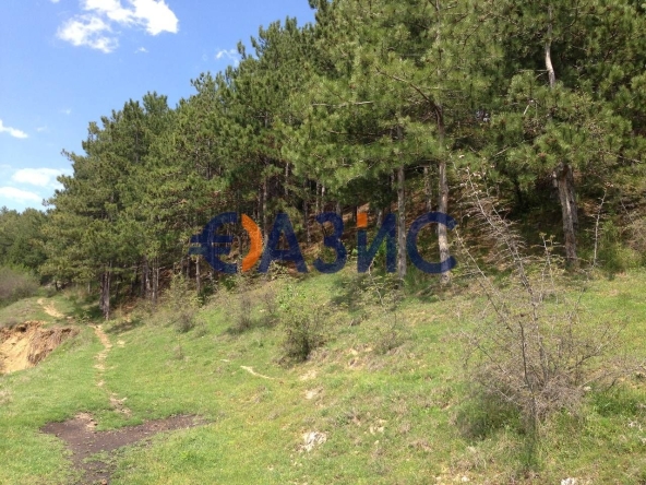 Парцел в с. Горица, Област Бургас - 1000 кв.м за 27 €/кв.м - Снимка #1