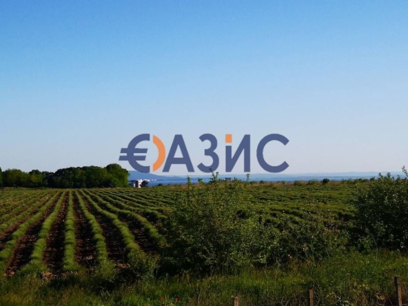 Парцел в Поморие - 5000 кв.м за 22 €/кв.м - Снимка #1