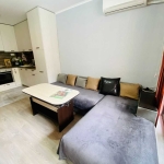 Дава се под наем Едностаен апартамент в Пловдив, Южен - 47 кв.м за 240 € - Снимка #1