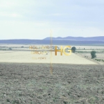 Парцел в с. Гюльовца, Област Бургас - 26990 кв.м за 31 €/кв.м - Снимка #1