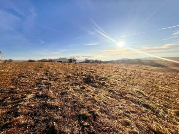 Парцел в с. Дъбрава, Област Благоевград - 1037 кв.м за 48 €/кв.м - Снимка #1