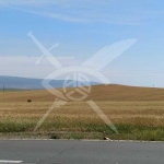 Парцел в Поморие - 14013 кв.м за 12 €/кв.м - Снимка #1