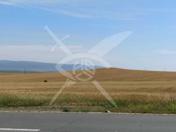 Парцел в Поморие - 14013 кв.м за 12 €/кв.м - Снимка #1